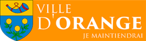 logo-orange-100